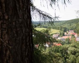 Harz Königshütte