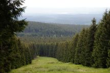 Romans in the Harz Mountains