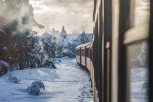Hiking with kids in the Harz Mountains