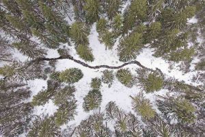 Video - Hiking in the Eastern Harz Mountains