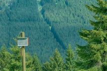 Wurmberg im Harz - Ulmer Weg